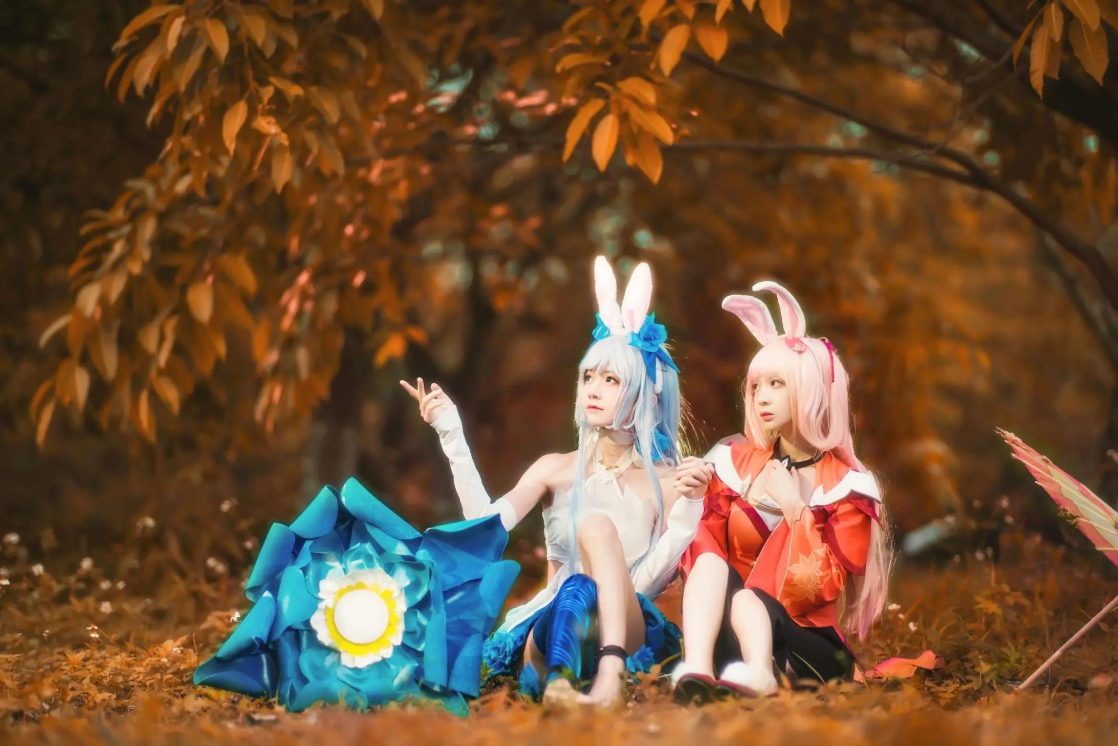 桜桃喵 公孙离