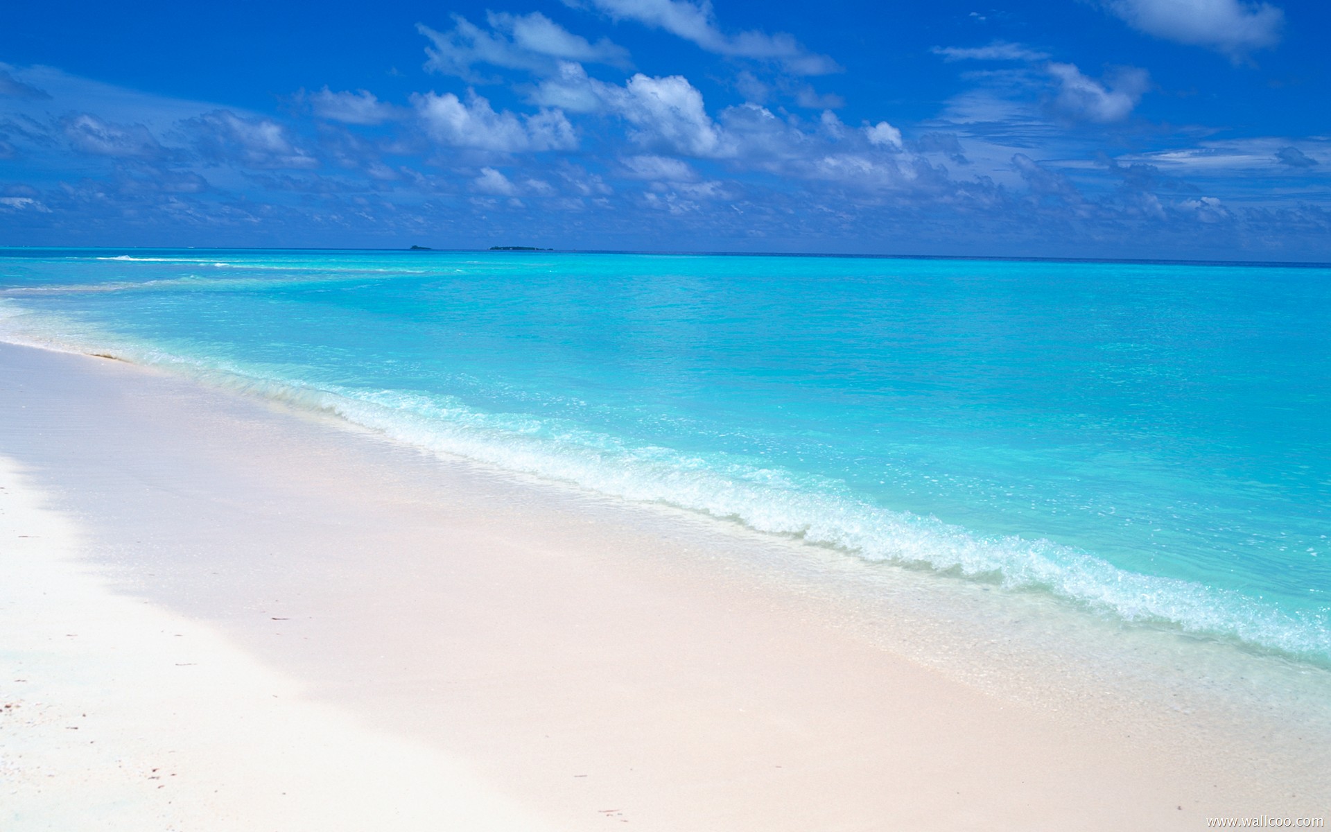 [美图海] 美图海 海洋壁纸第8期高清手机美女壁纸1P